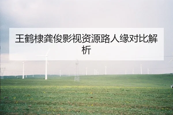 王鹤棣龚俊影视资源路人缘对比解析