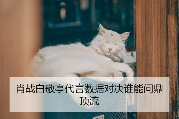 xiao-zhan-bai-jing-ting-dai-yan-shu-ju-dui-jue-shui-neng-wen-ding-ding-liu-2-135.jpg